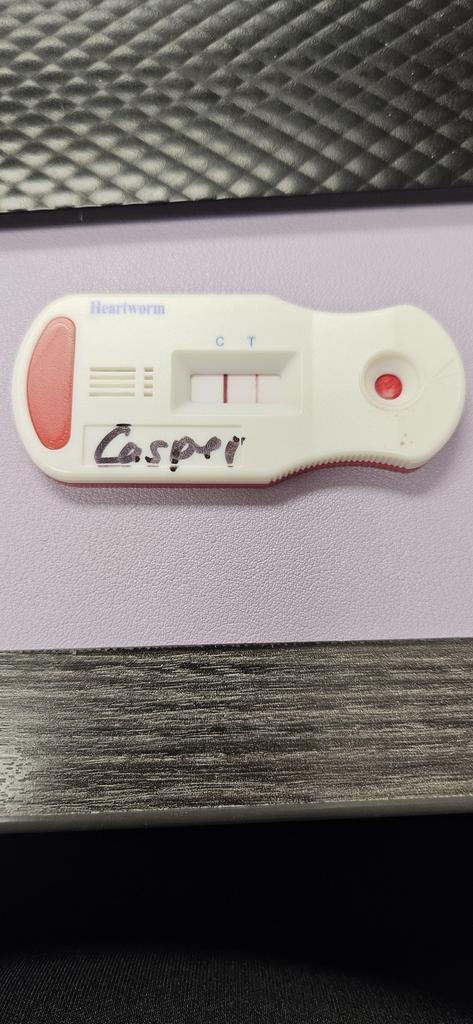 Casper