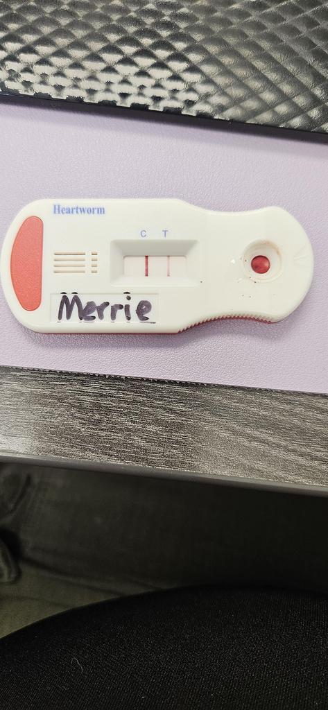 Merrie