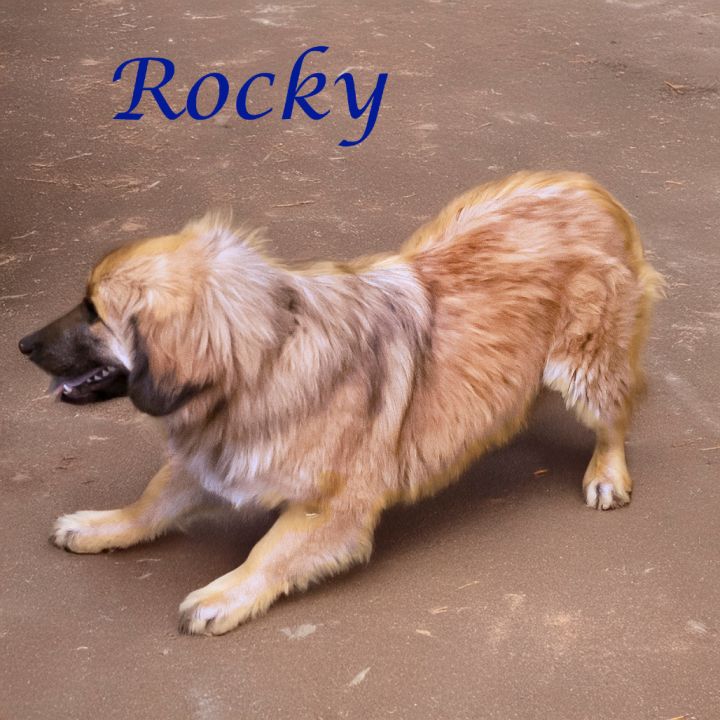 Rocky D25-064 2