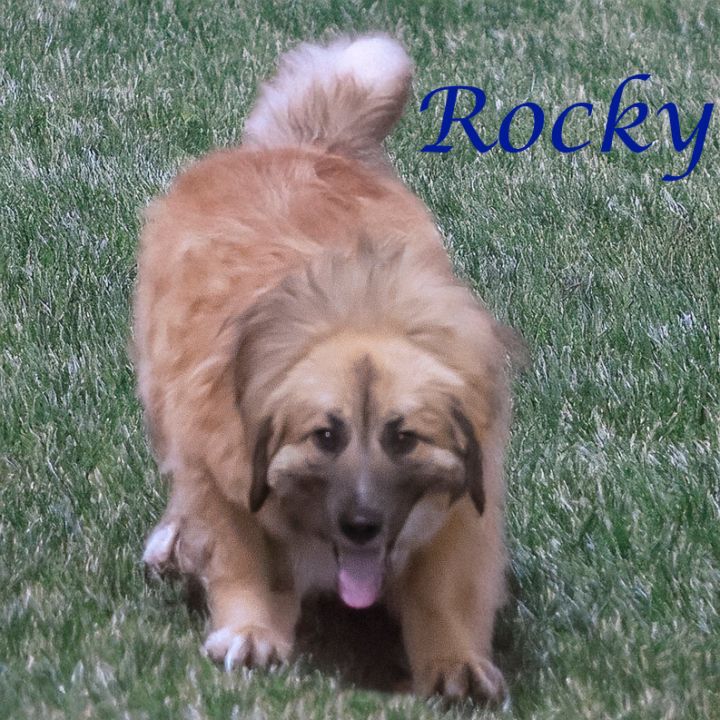 Rocky D25-064 3