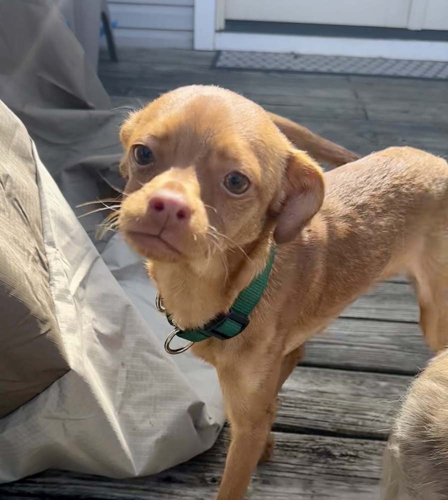 Winnie