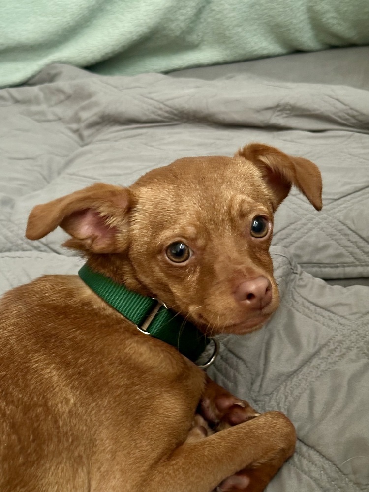Winnie