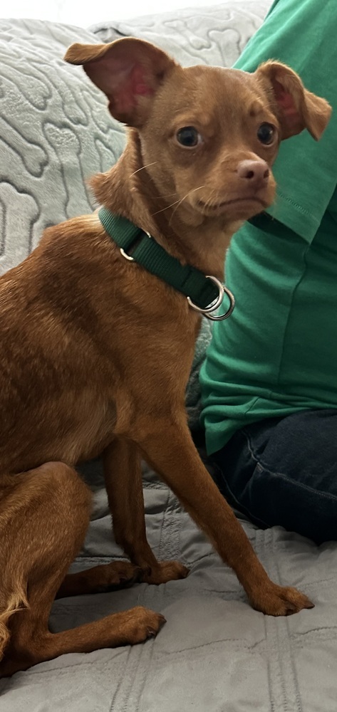 Winnie