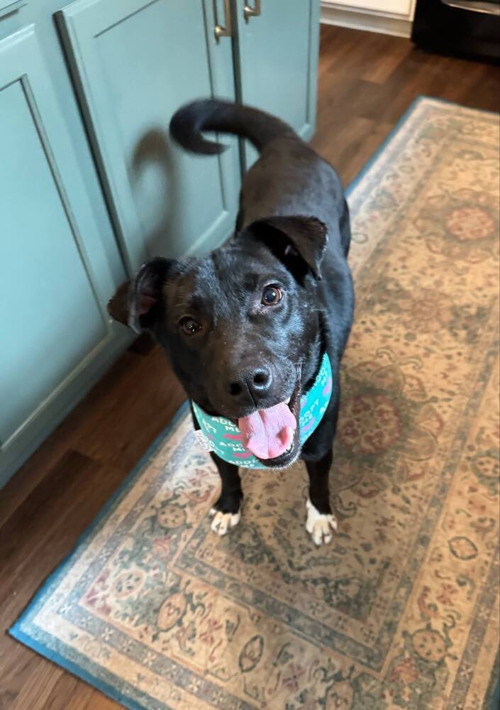 Ella