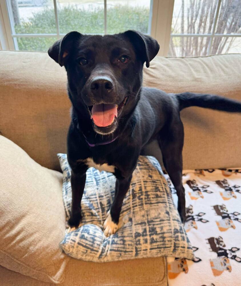 Ella