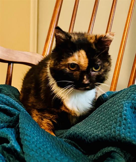 DEBBIE
