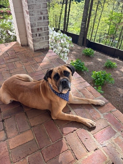 Mugsy