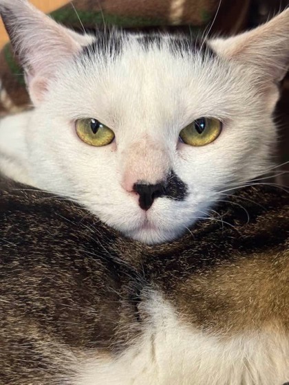 Casper