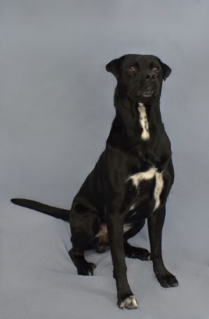 Meet Bark Wahlberg - A Leading Man Ready for His Forever Role  Movie star good looks Check Uns