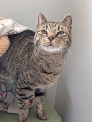 Meet Zion - a gentle soul with a heart full of hope After being left behind he still believes in