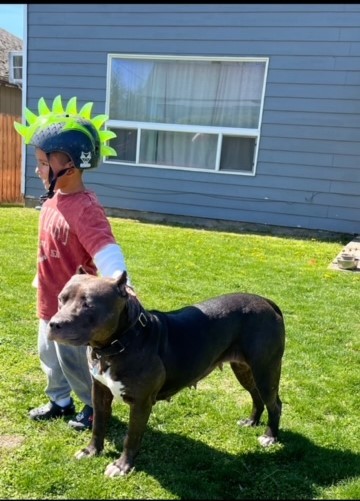 Helga, an adoptable Mixed Breed in Walla Walla, WA, 99362 | Photo Image 3