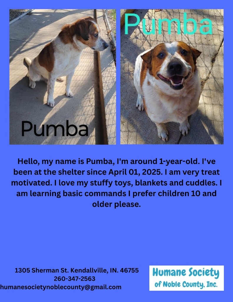 Pumba