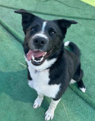 MILEY- IN FOSTER