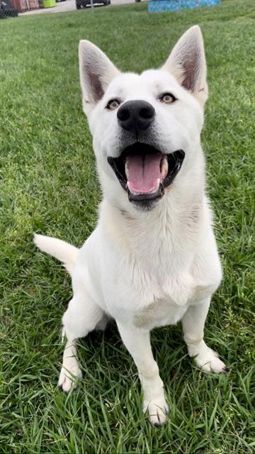 KRYPTO