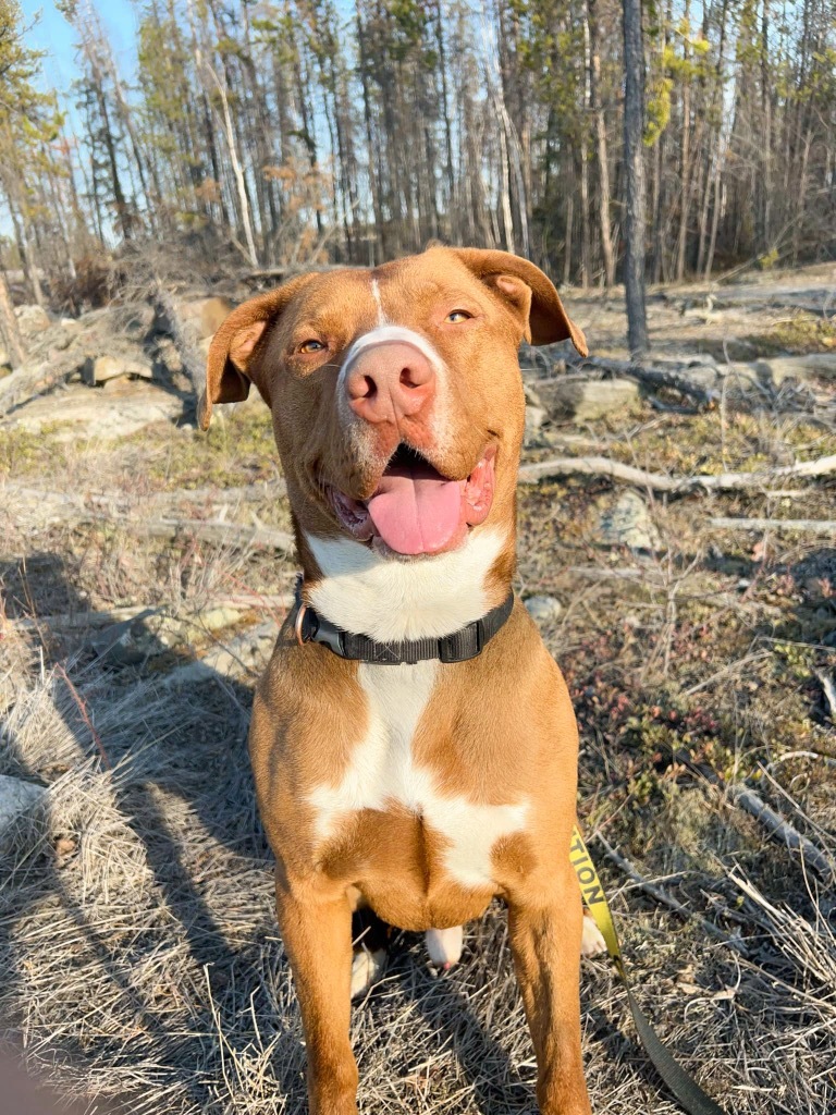 Bronx