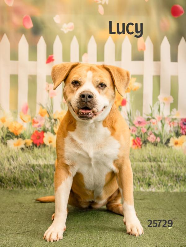 Lucy