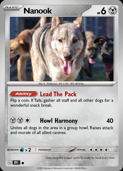 Nanook