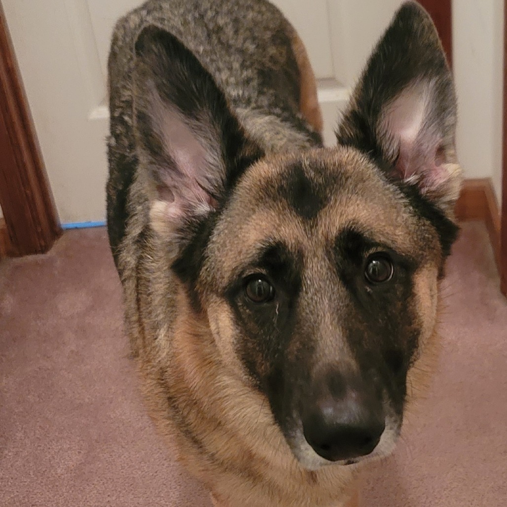 Lulu