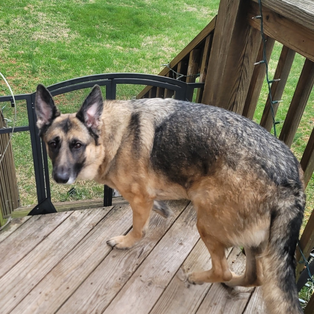 Lulu