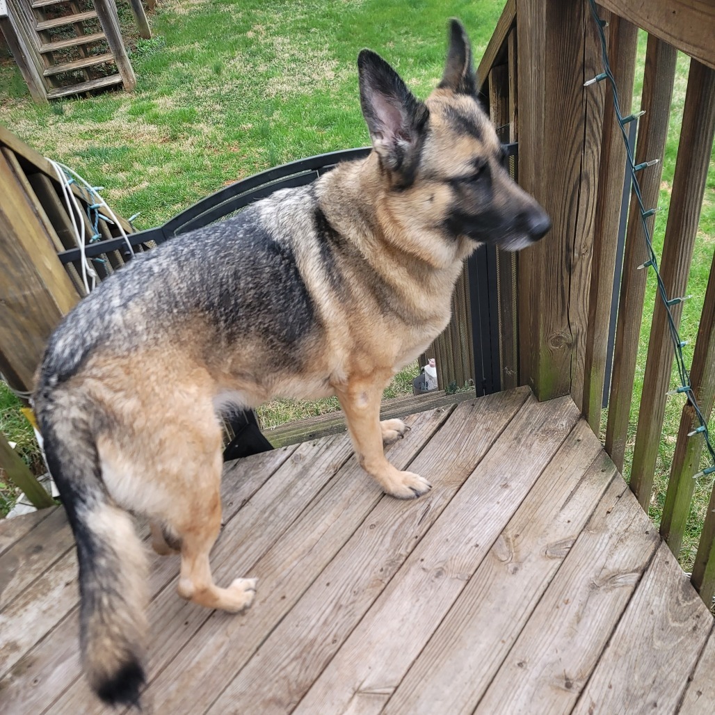 Lulu