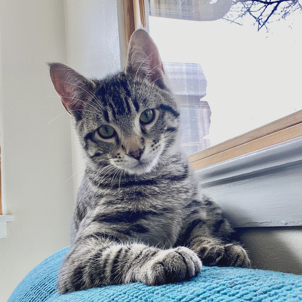 Seymour