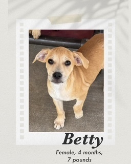 Betty