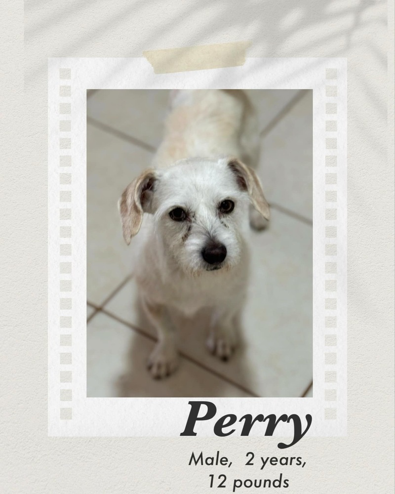 Perry