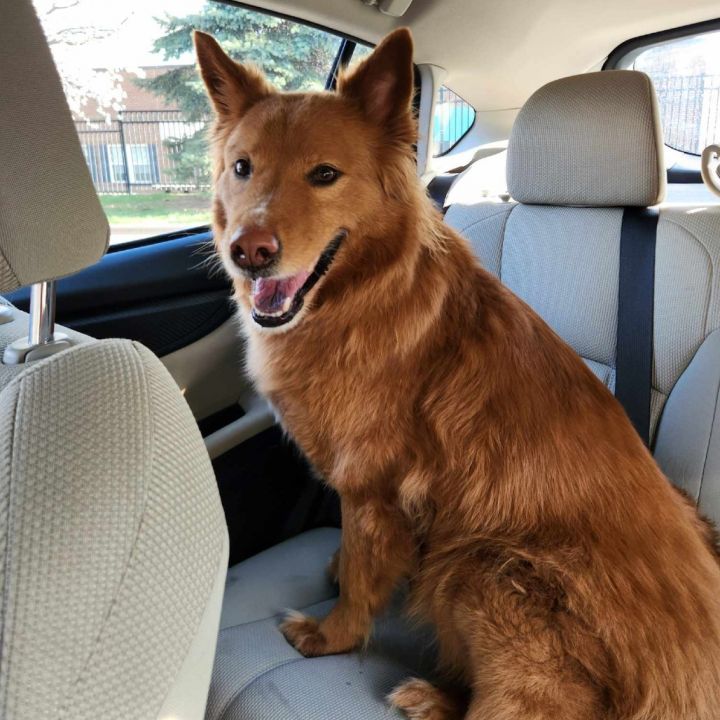 Nala 3