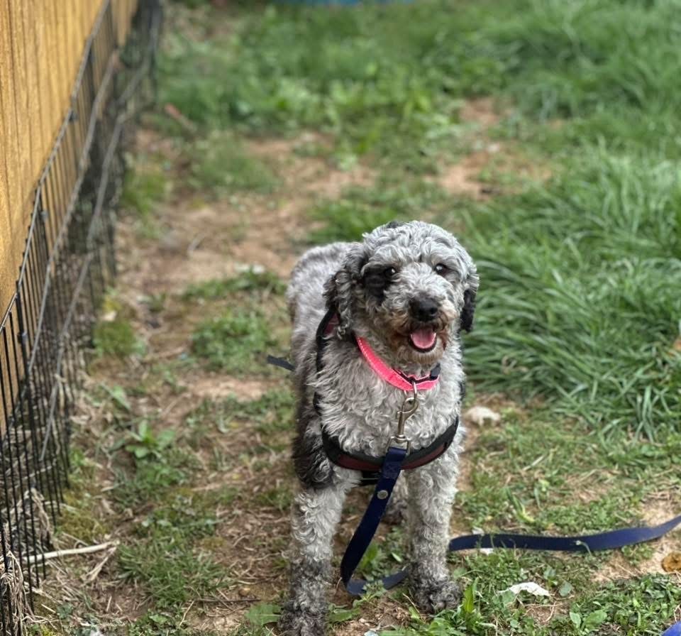Winnie