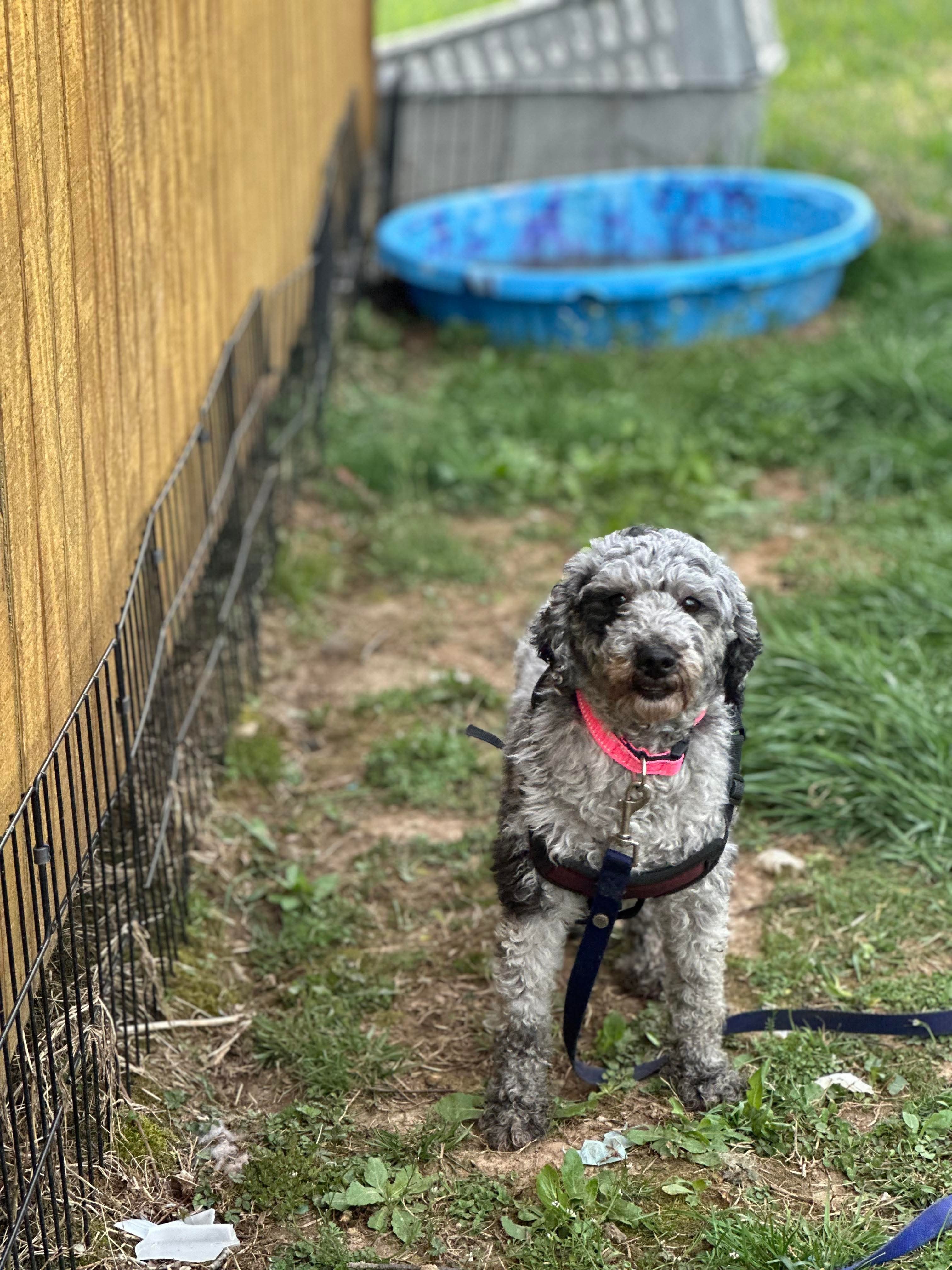 Winnie