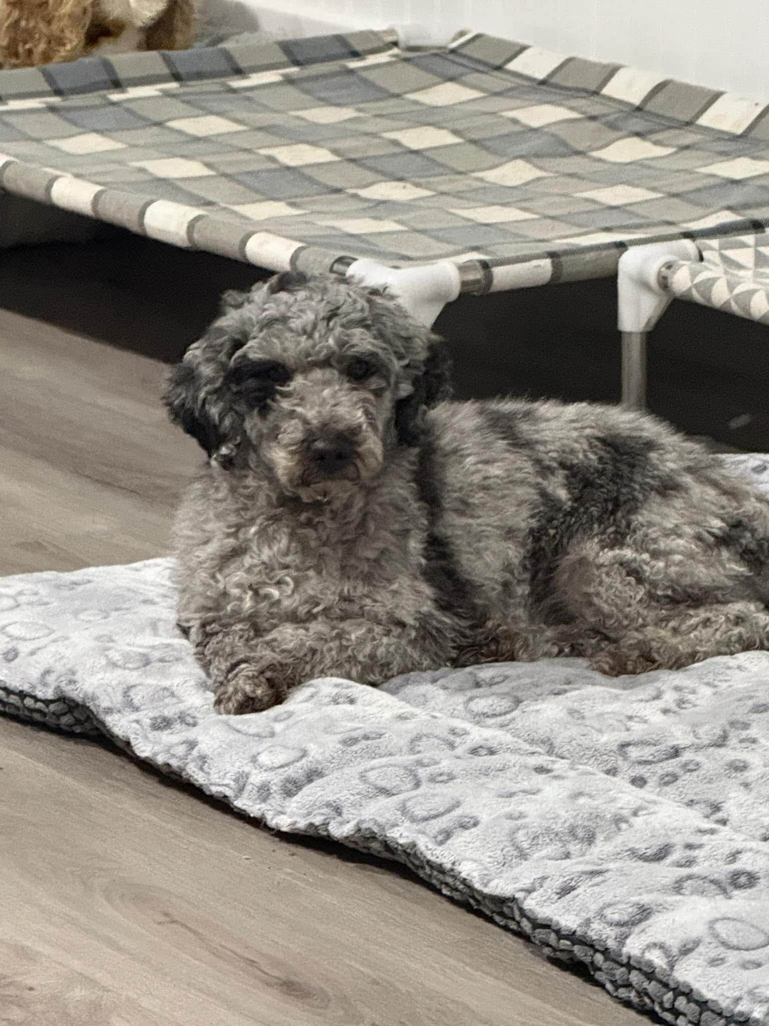 Winnie