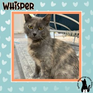 Whisper