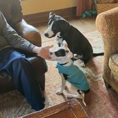 Lulu