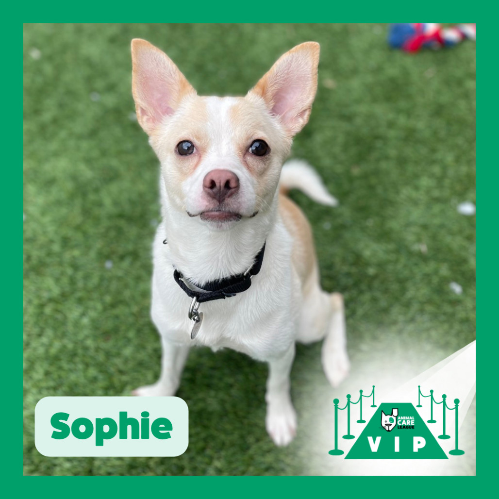 Sophie