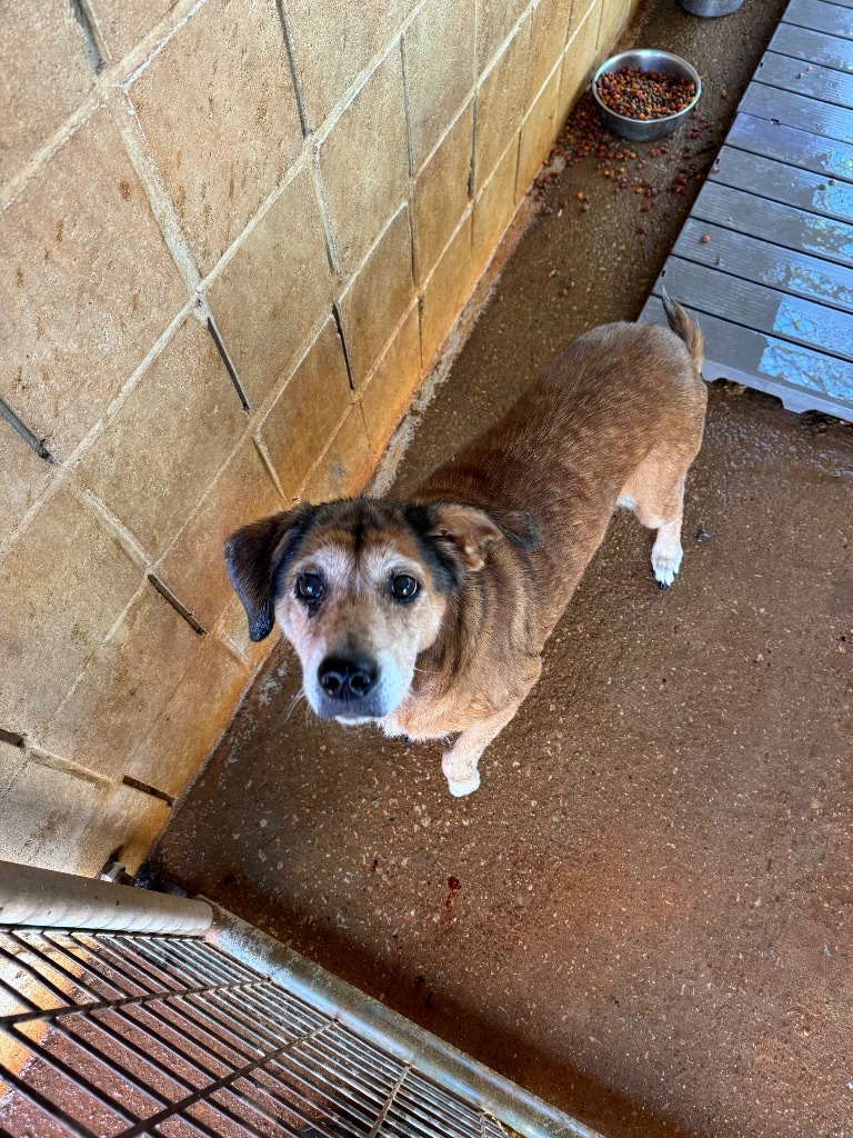 Edna