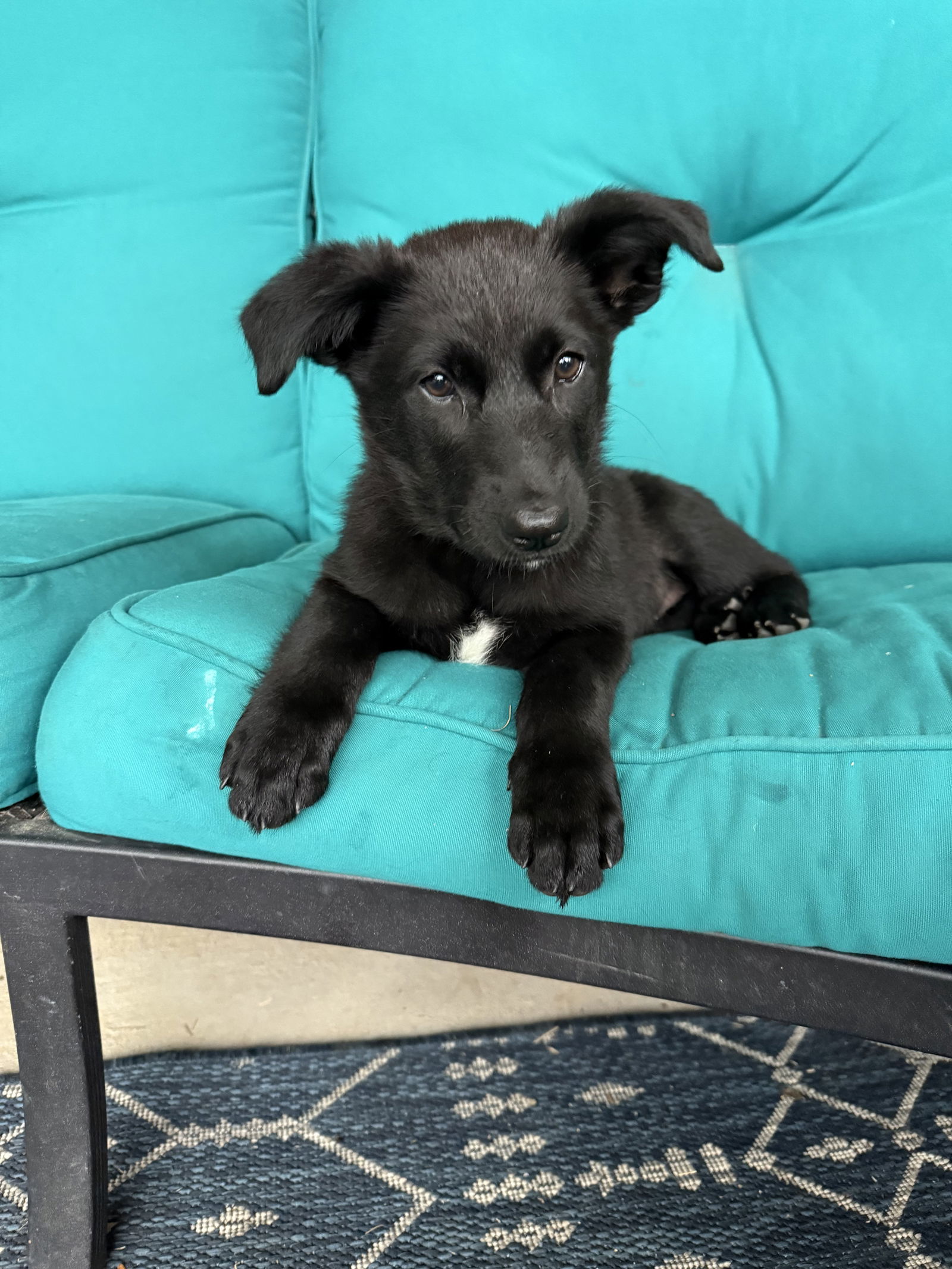 Rosie