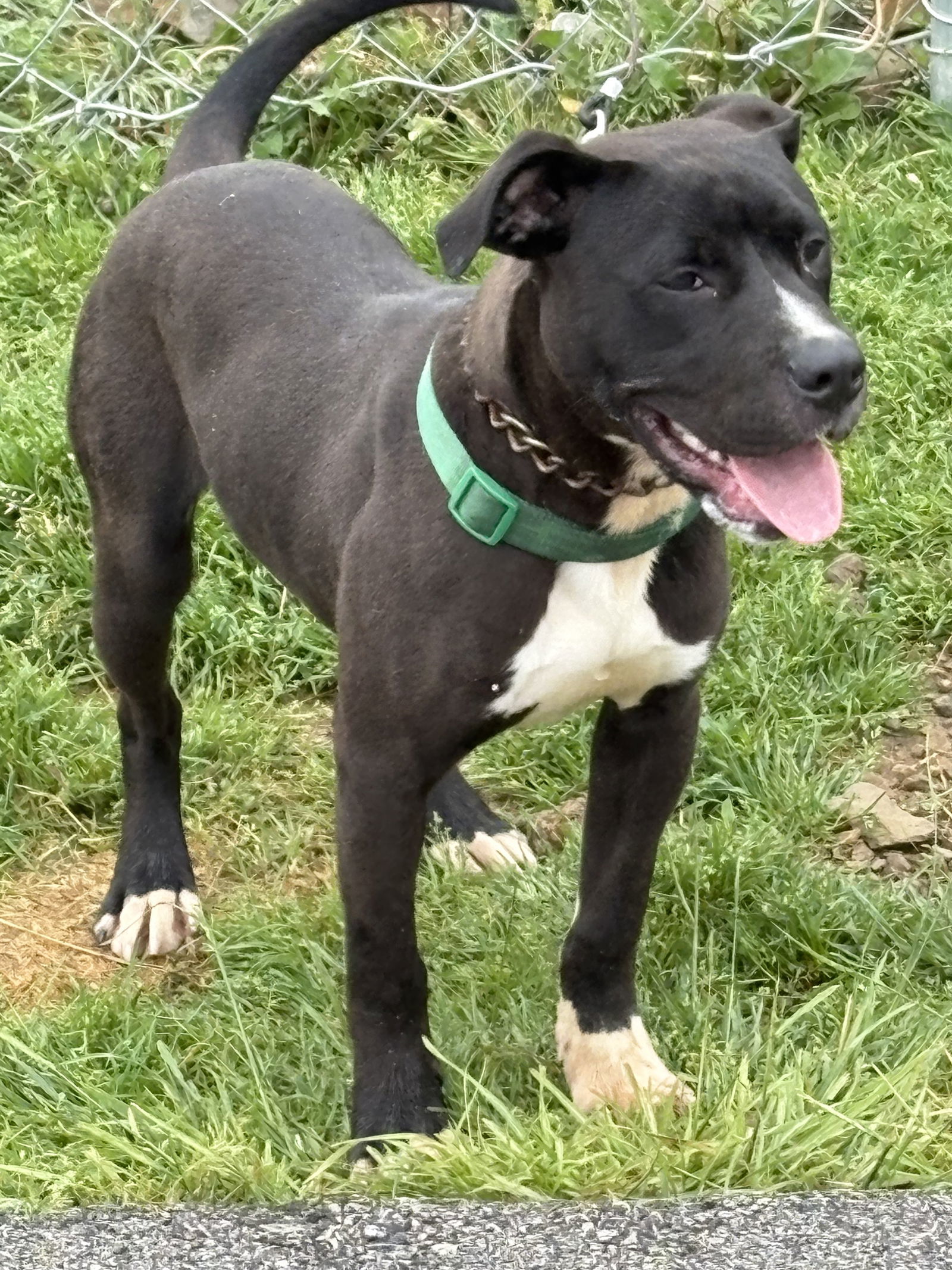 CASPIAN
