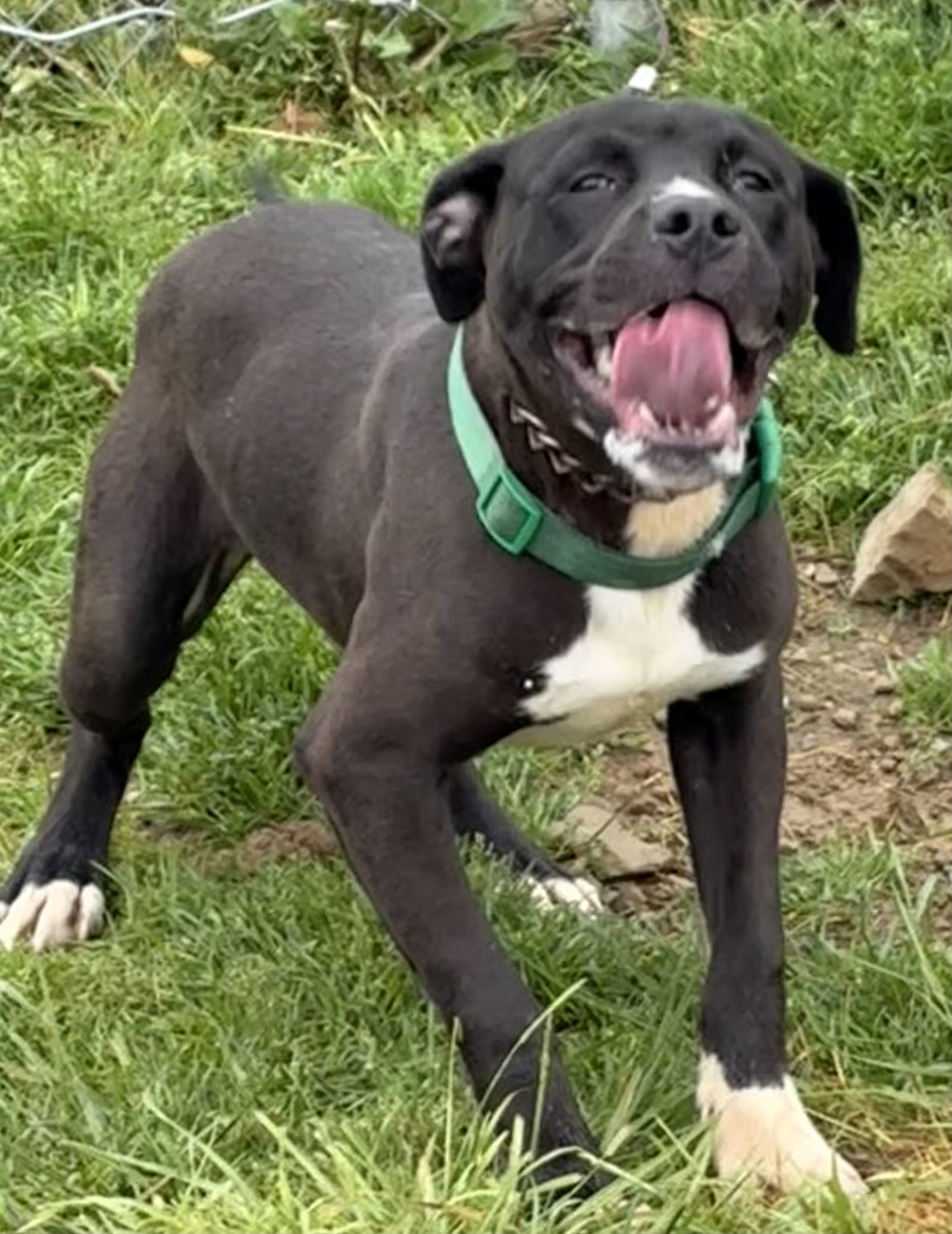 CASPIAN