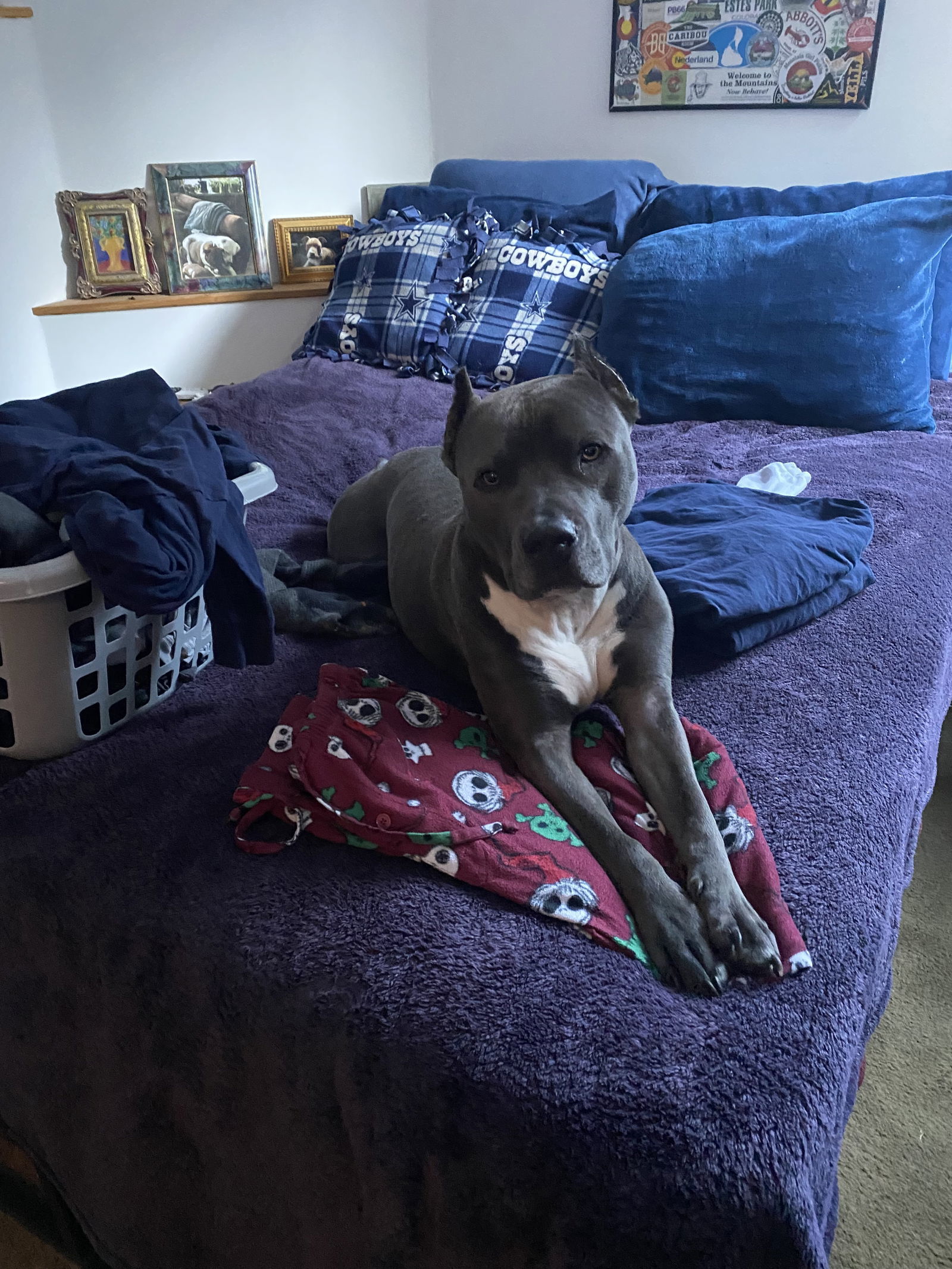 Otis