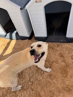 Sam