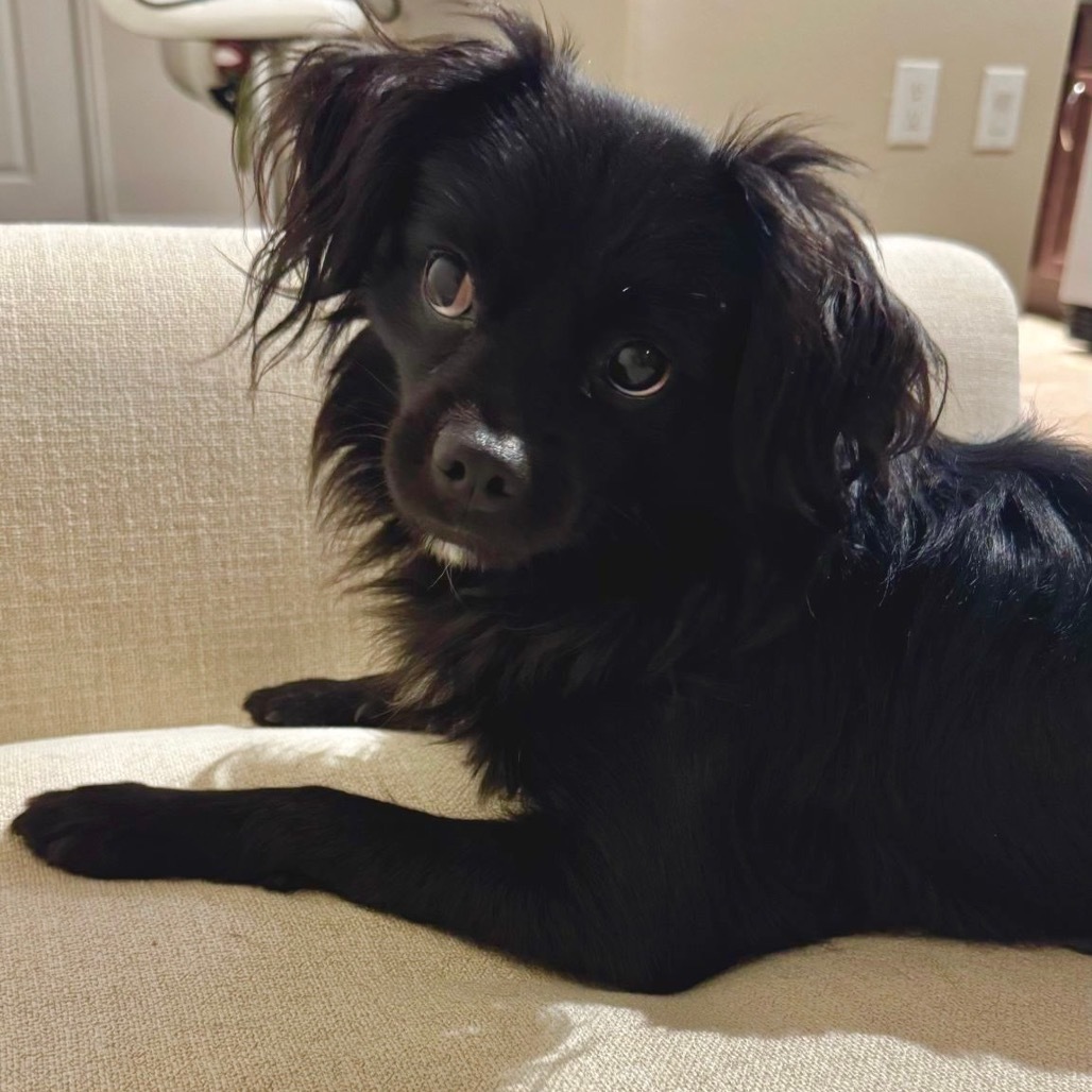 Tullie