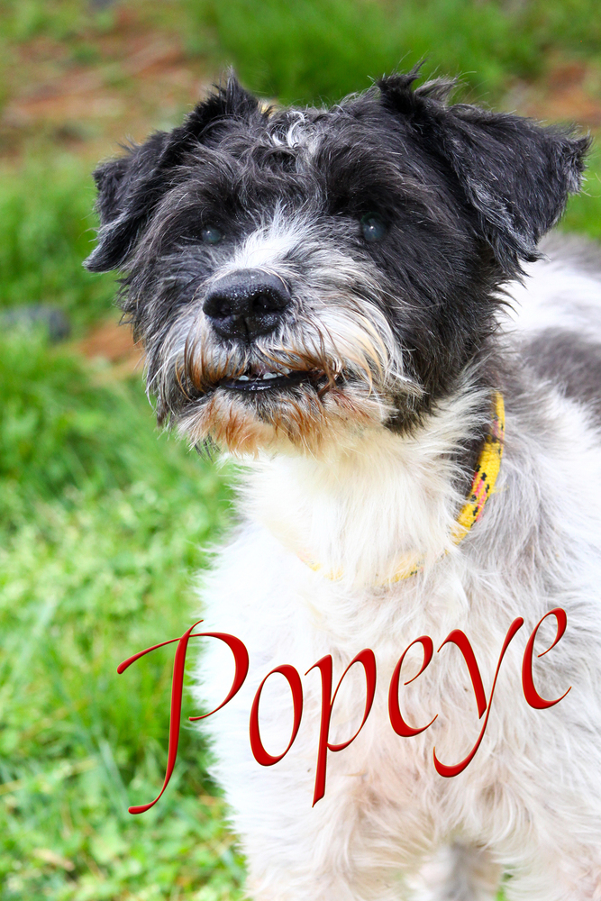 Popeye