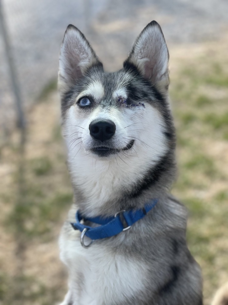 Luna