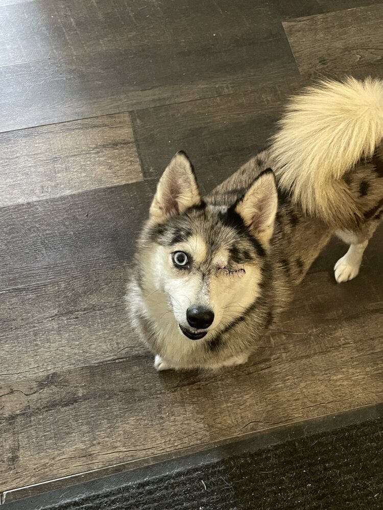 Luna