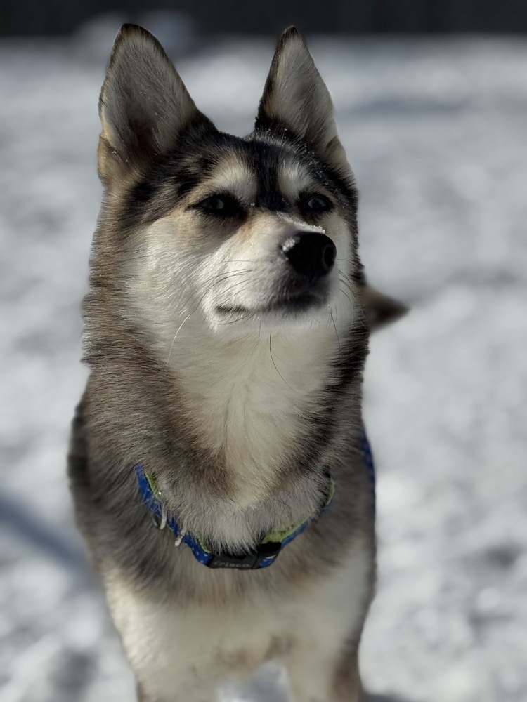 Luna