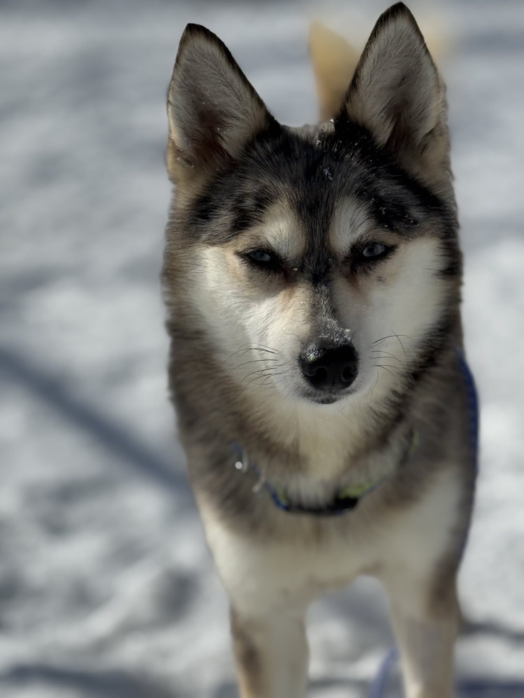 Luna