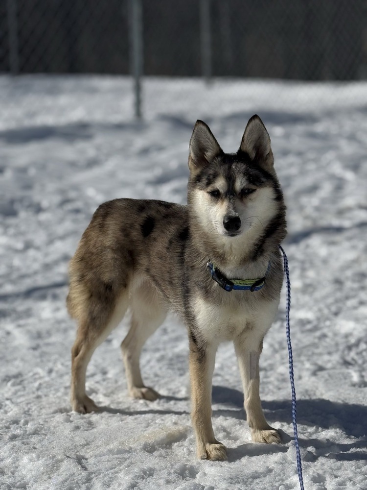 Luna
