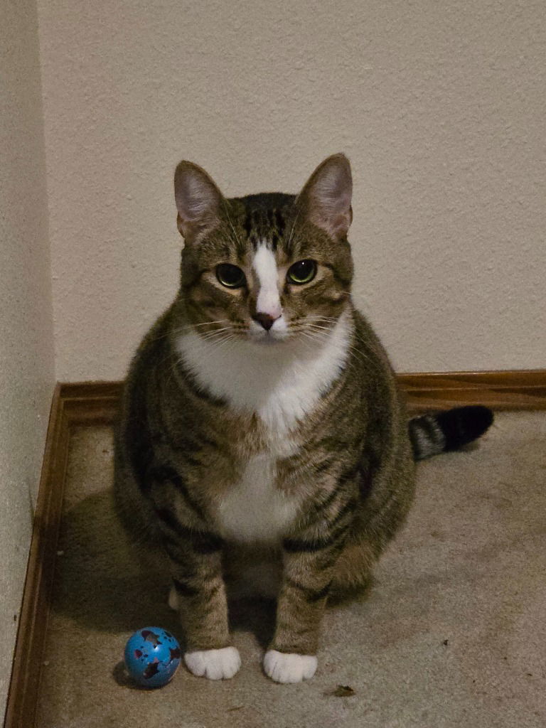 Buster