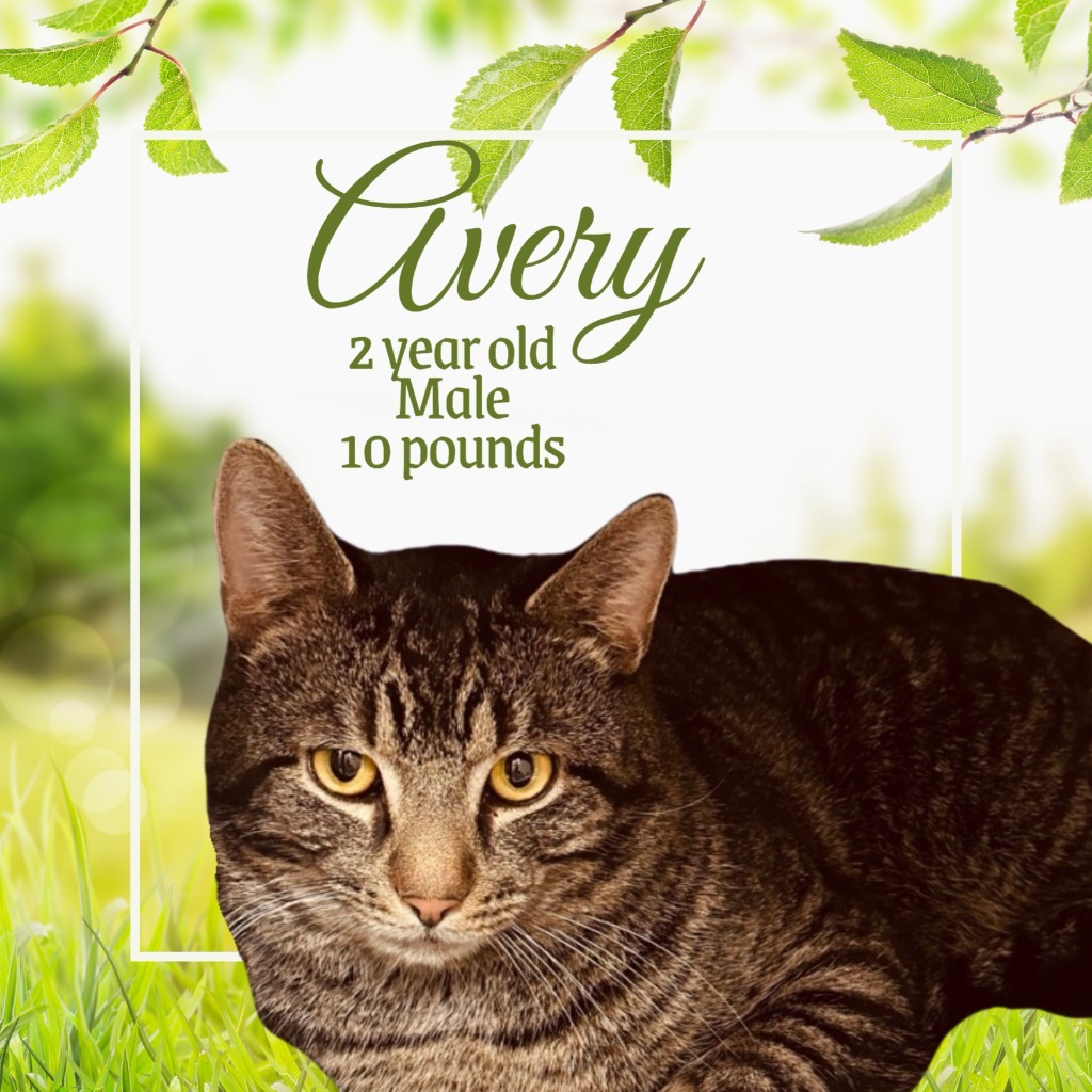 Avery