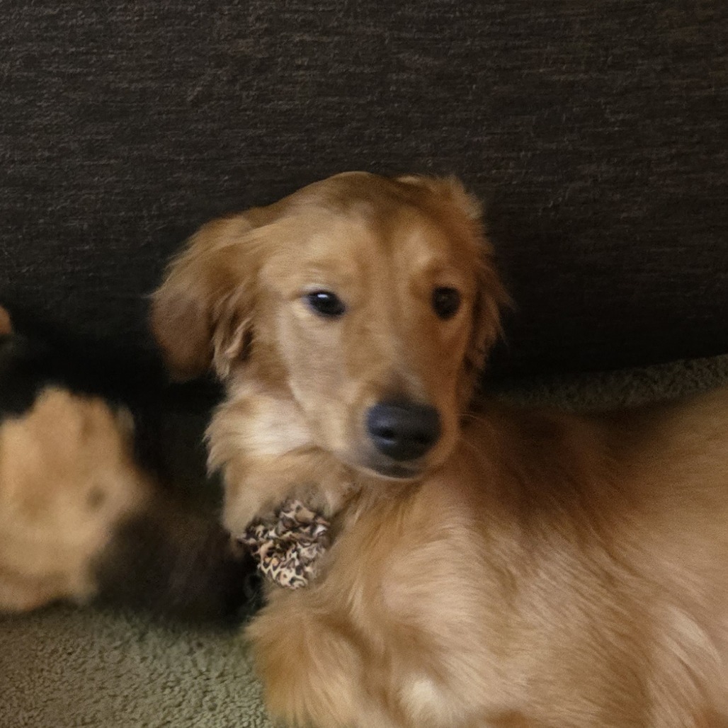 Charlie